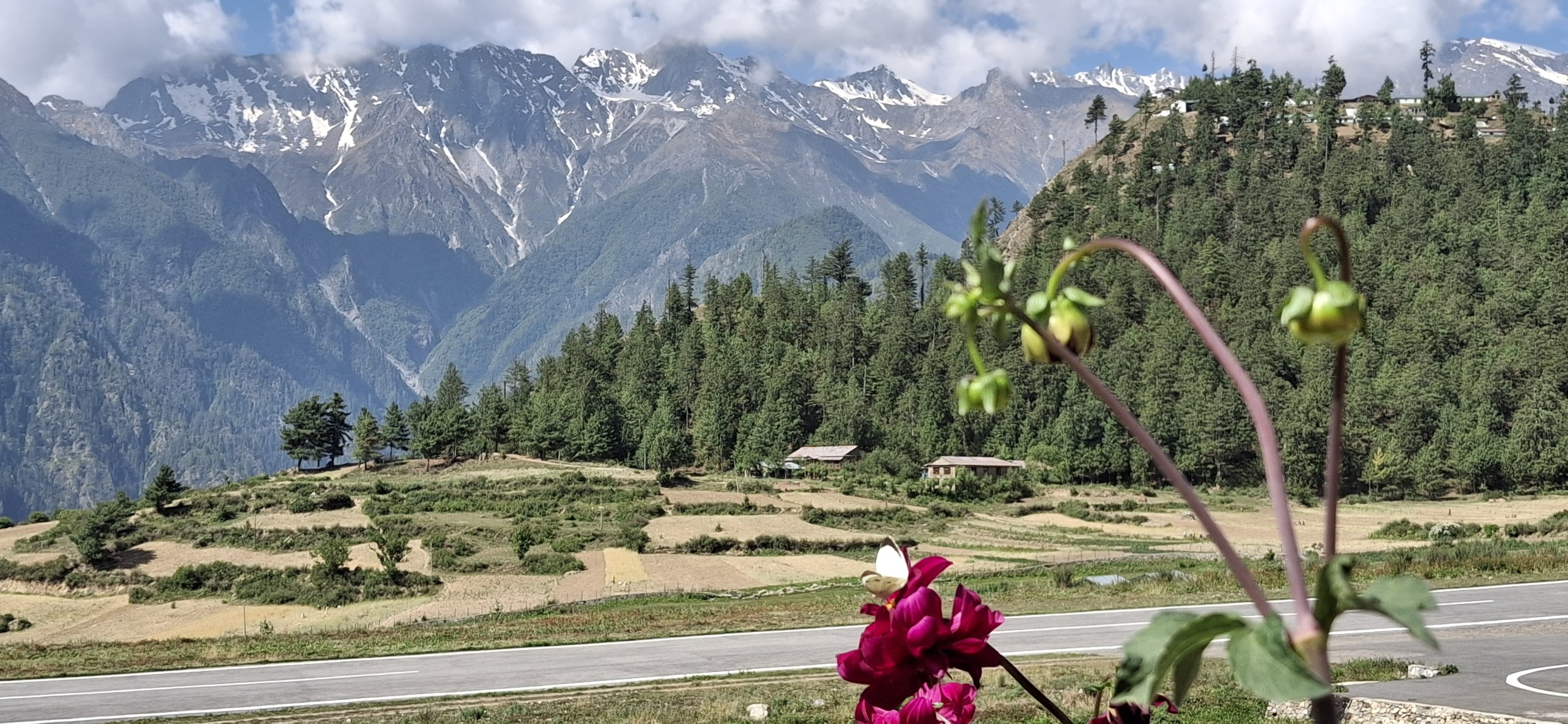 The green Himalayan approach on the way to Kailash