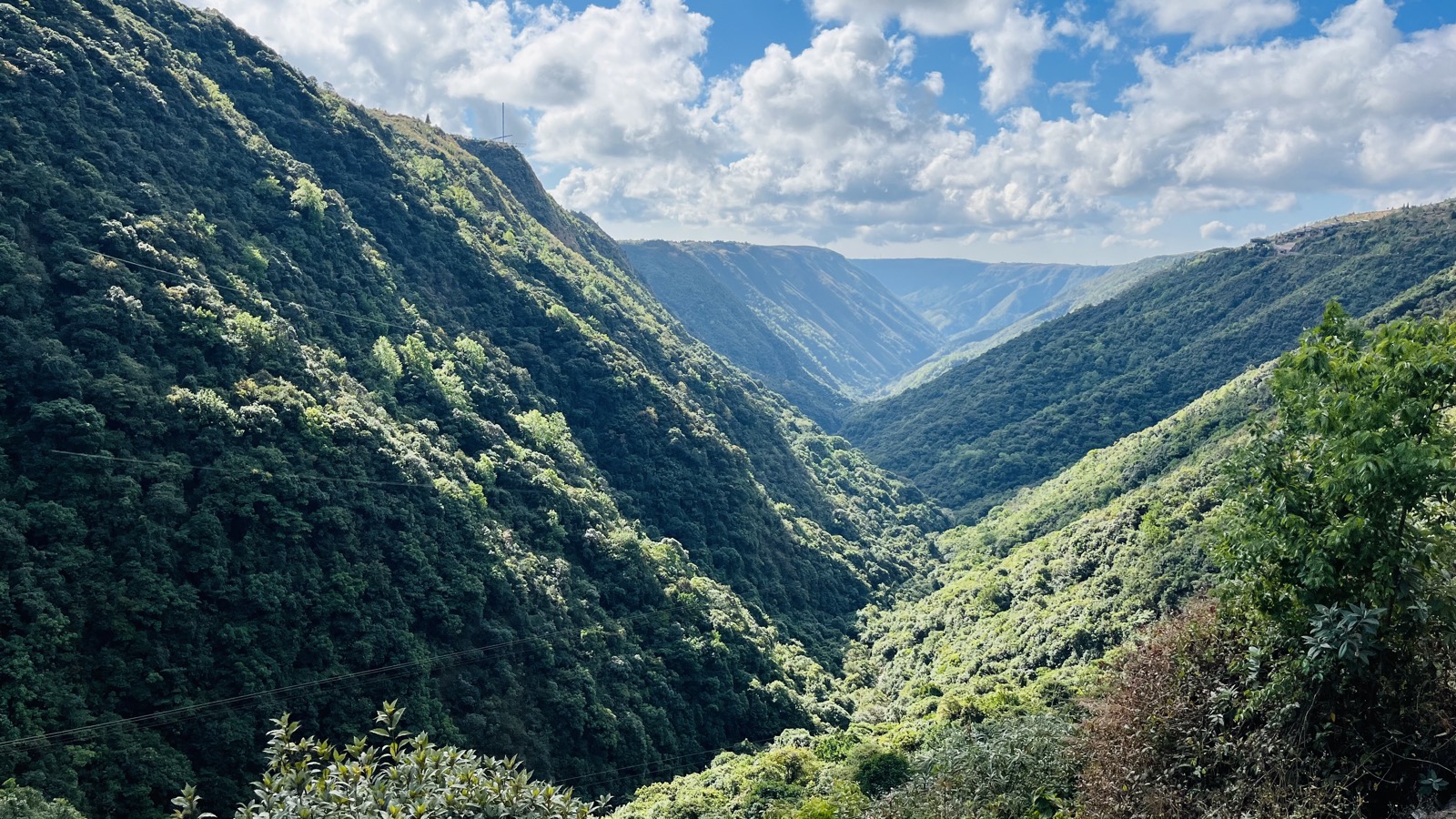 Deep green valley in Meghalaya