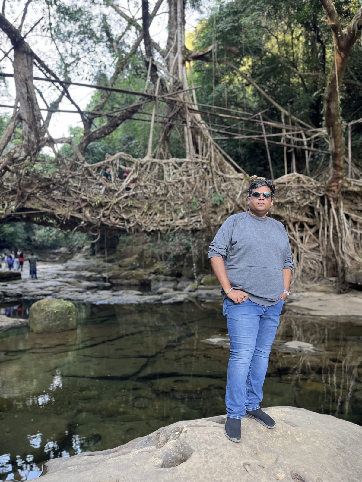 Living root bridge in Meghalaya